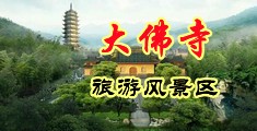 黄片抠逼操中国浙江-新昌大佛寺旅游风景区